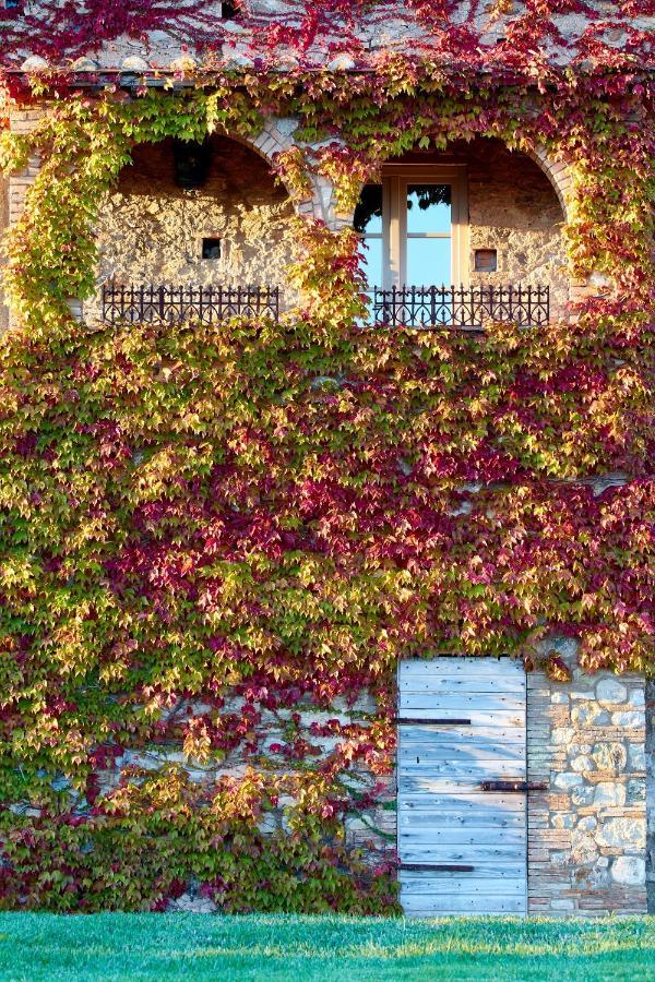 Relais Sant'Elena Bibbona Exterior foto