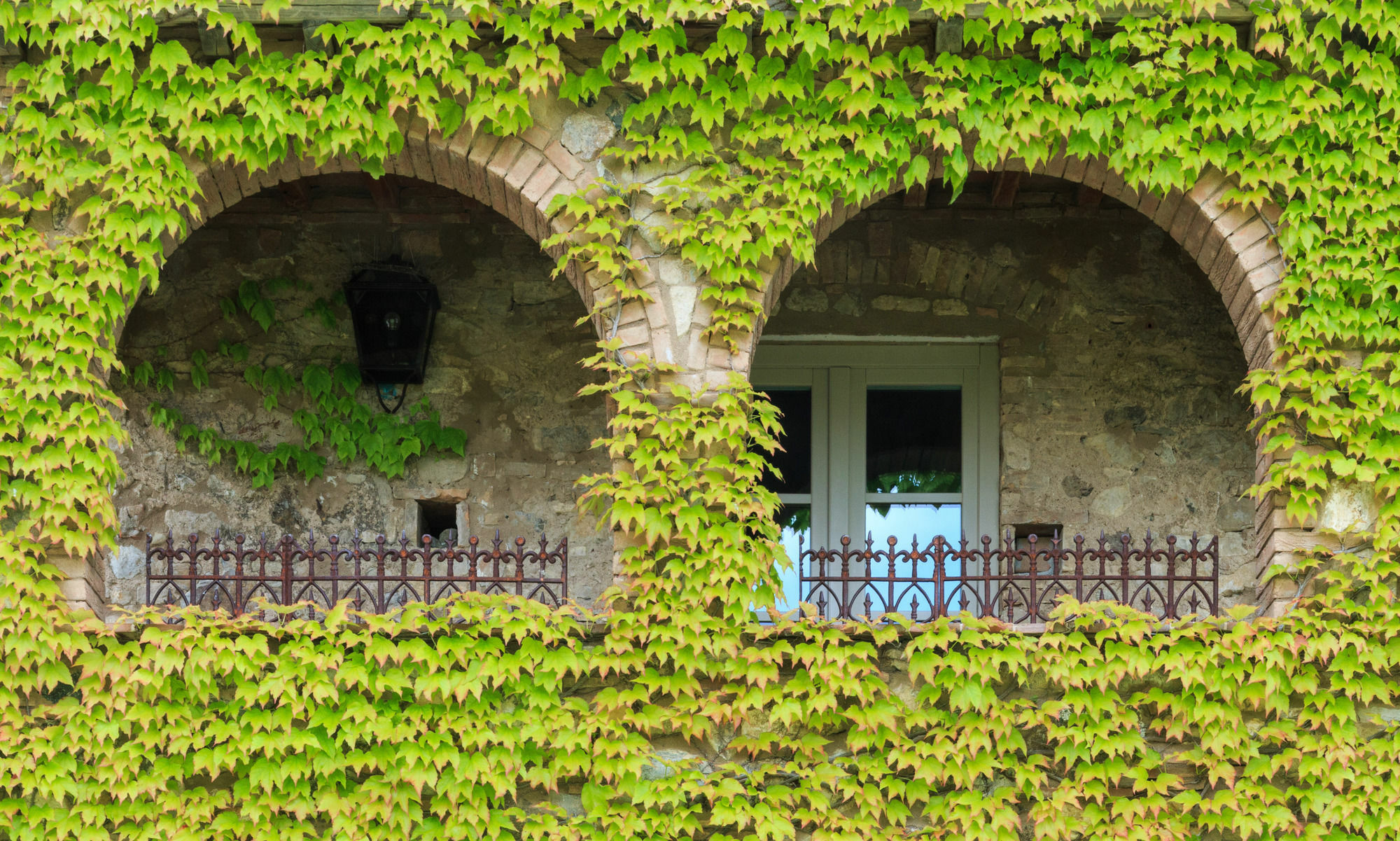 Relais Sant'Elena Bibbona Exterior foto